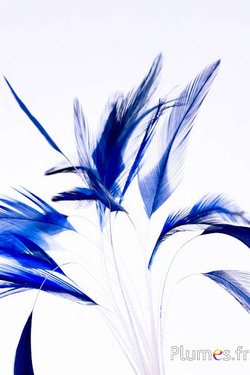 Gestrippter Hahnenkreuz – 10–15 cm – weiß–nachtblau